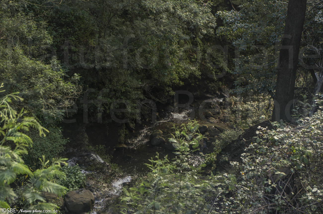 _IGP5735